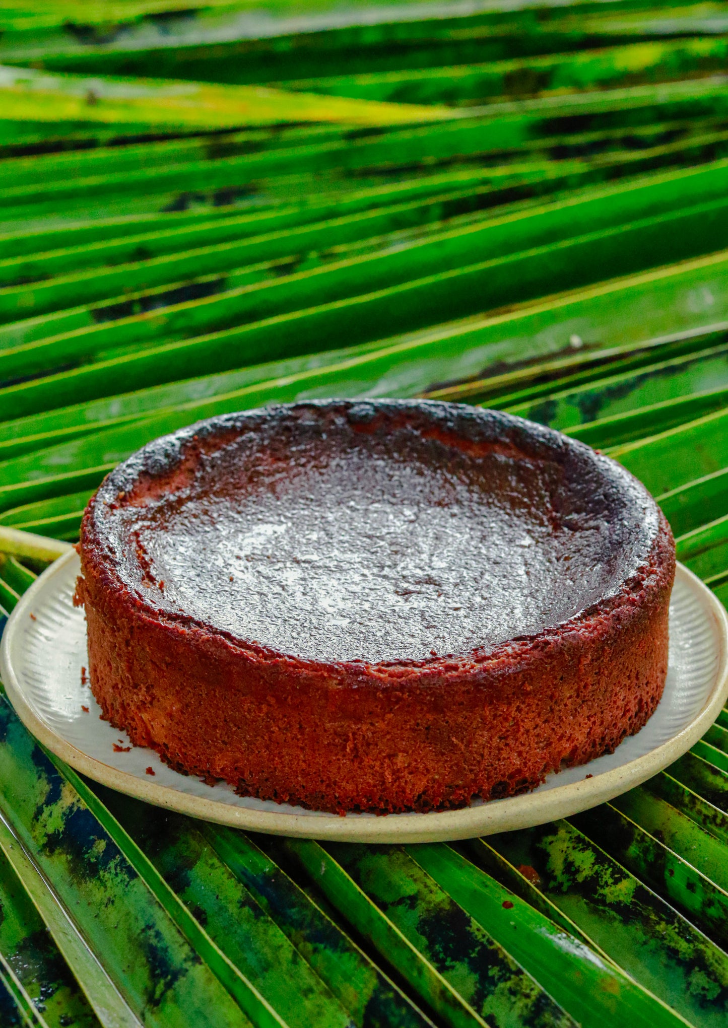 Vegan Cheesecakes Workshop