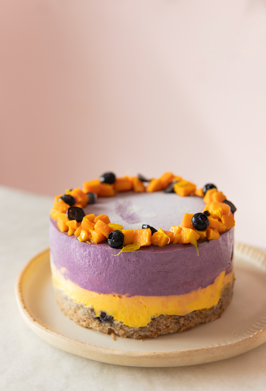 Vegan Gelatos & Sorbet Workshop