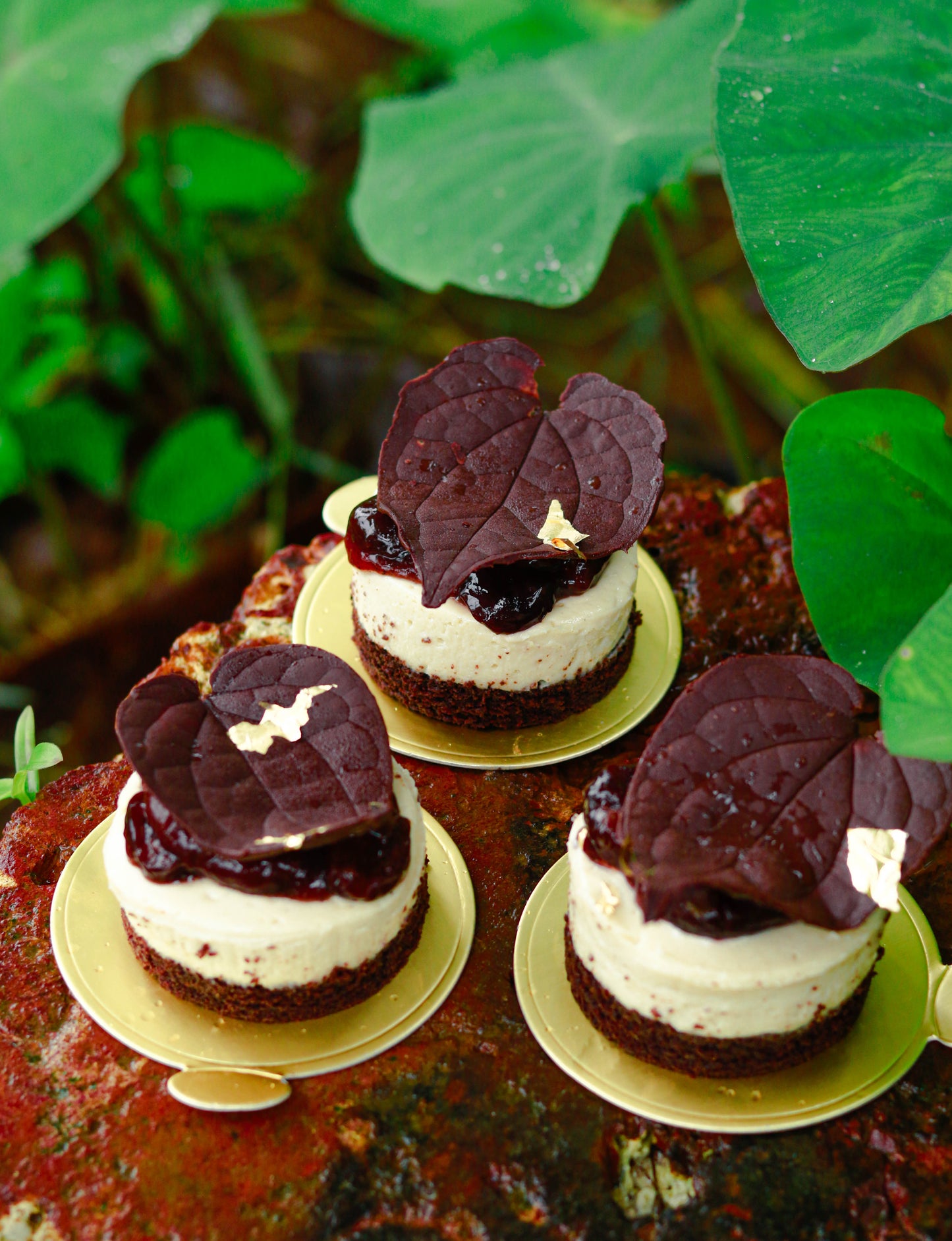 Vegan Cheesecakes Workshop