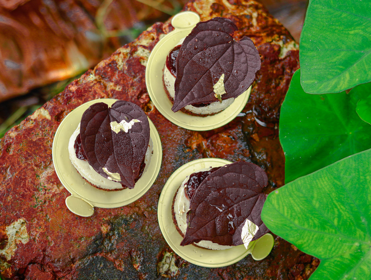 Vegan Cheesecakes Workshop