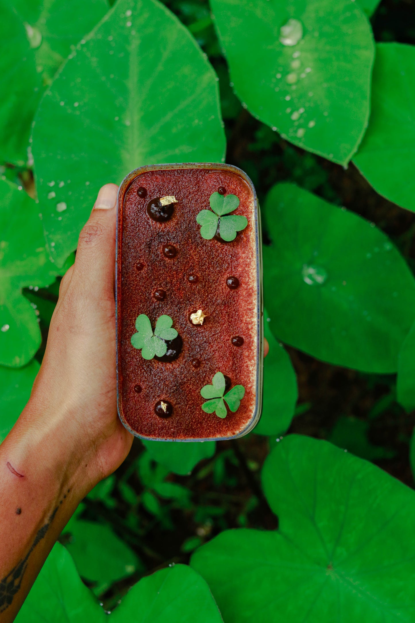 Vegan Cheesecakes Workshop